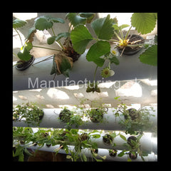 Hydroponics NFT 36 Planting Hole KIT