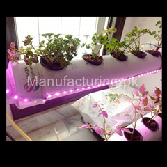 Hydroponic Mini NFT 10 Planting holes