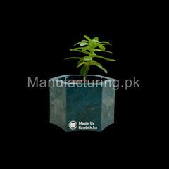 EcoPots (S)