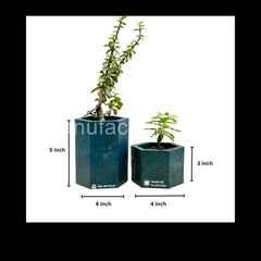 EcoPots (S)