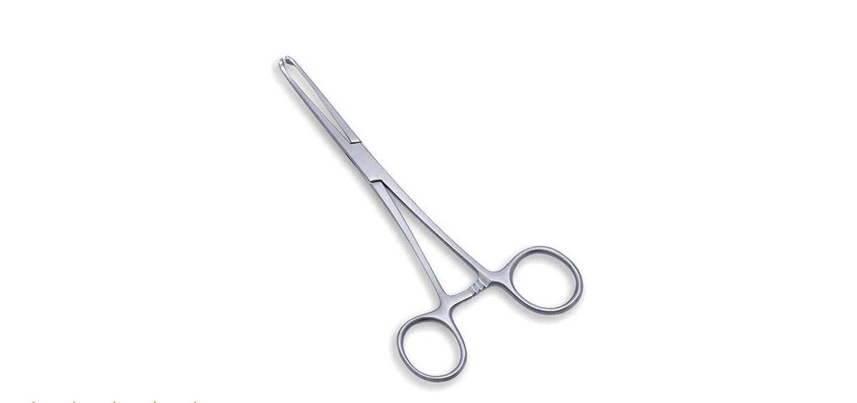 Allis Tissue Forceps 6"