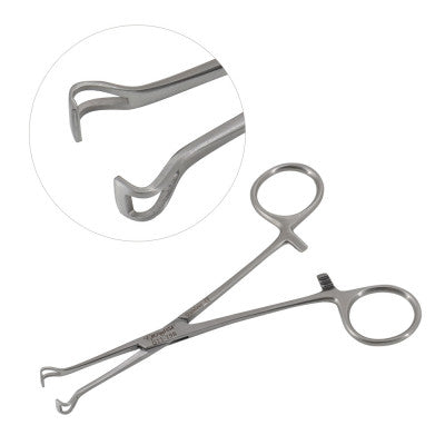 Babcock Forceps 6"