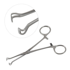 Babcock Forceps 6"