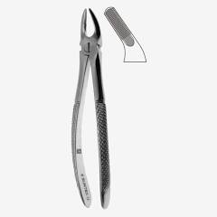 Tooth Forceps 7"