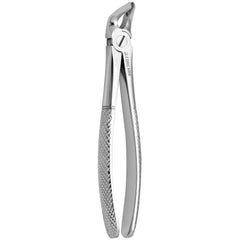 Tooth Forceps 8"